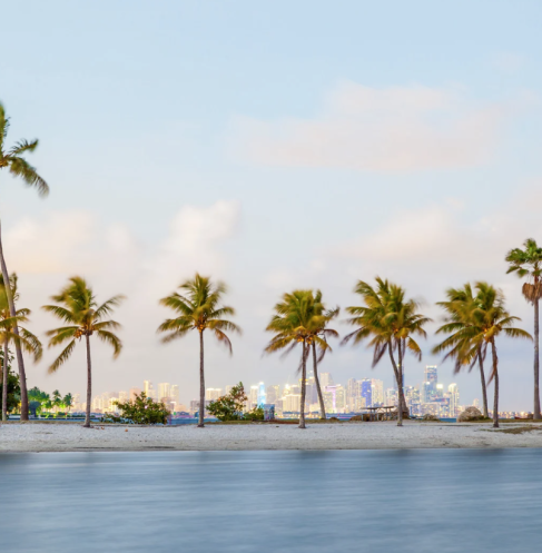 Meet pawnbrokers in Florida